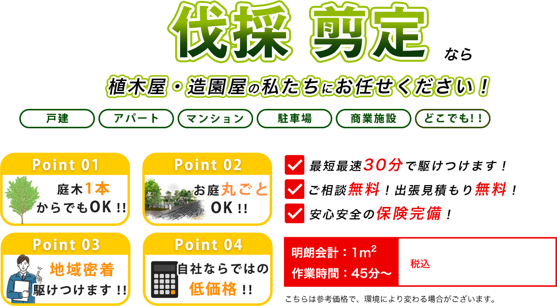 伐採 剪定なら植木屋・造園屋の株式会社MURASAWAにお任せください！　最短最速30分で駆けつけます！　ご相談無料！出張見積もり無料！　安心安全の保険完備！